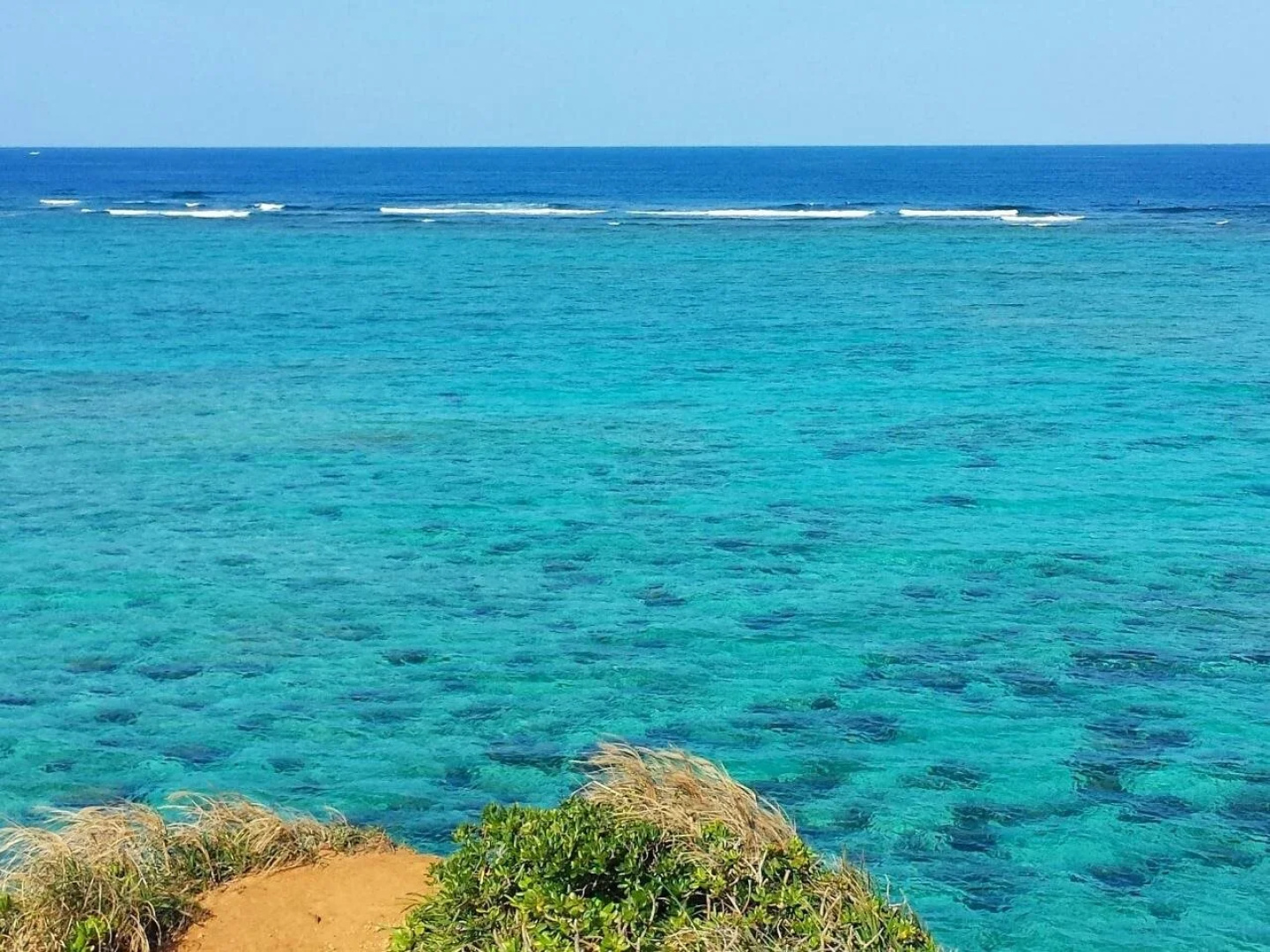 Coral garden 7 pools