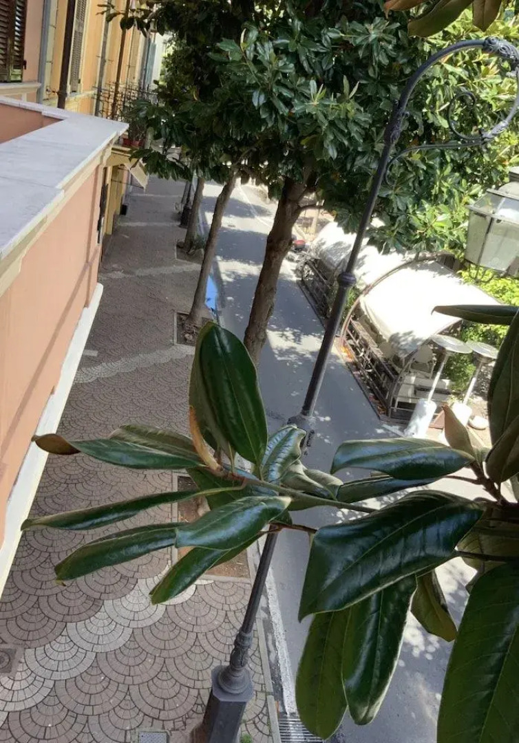 Ricaroka Affittacamere