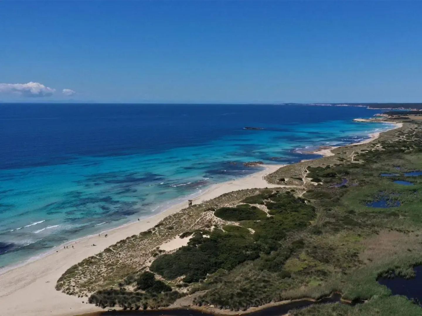 Apartment Son Bou Gardens Apt 2 dorm