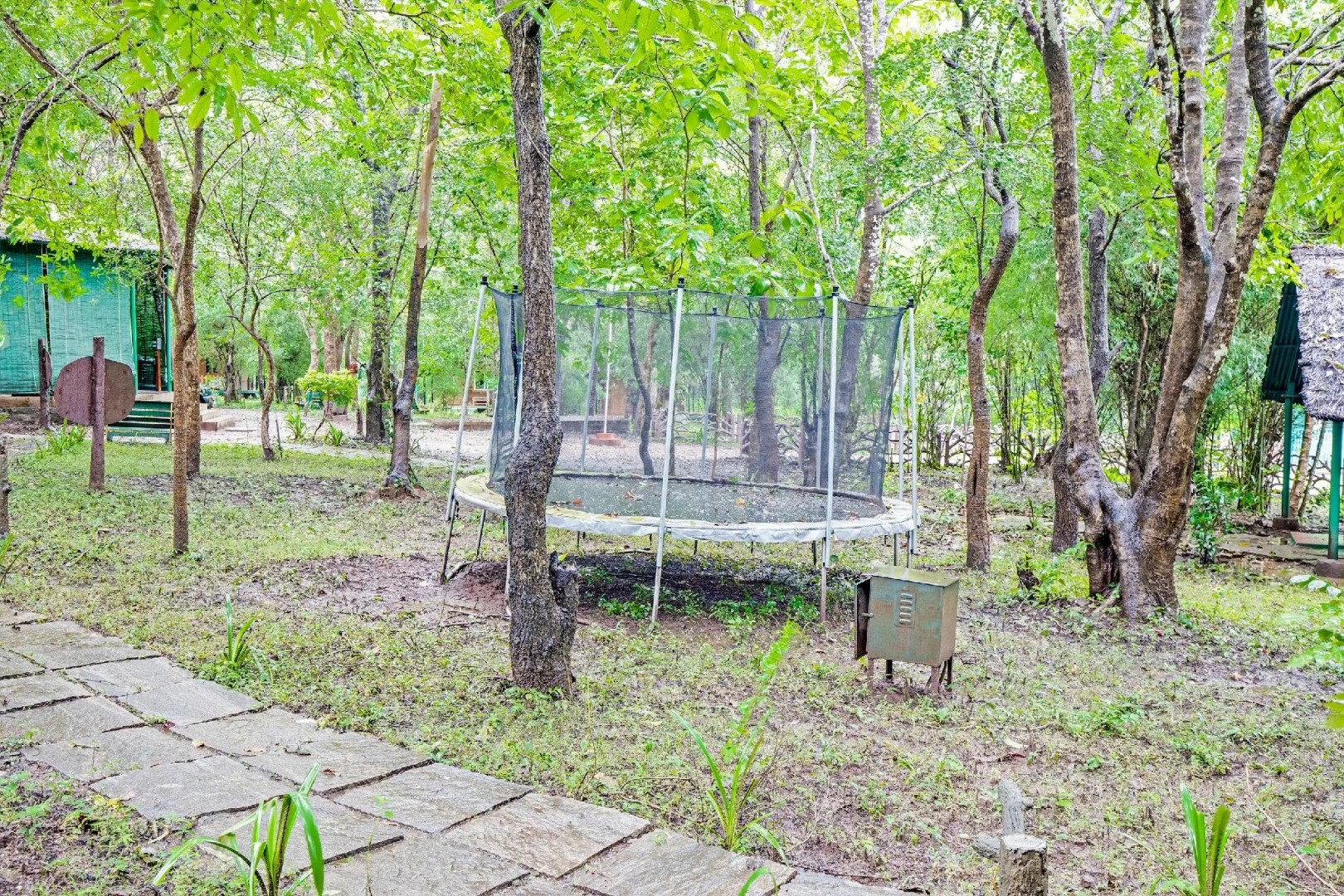 Jungle Lodges And Resorts- Sakrebyle Elephant Camp