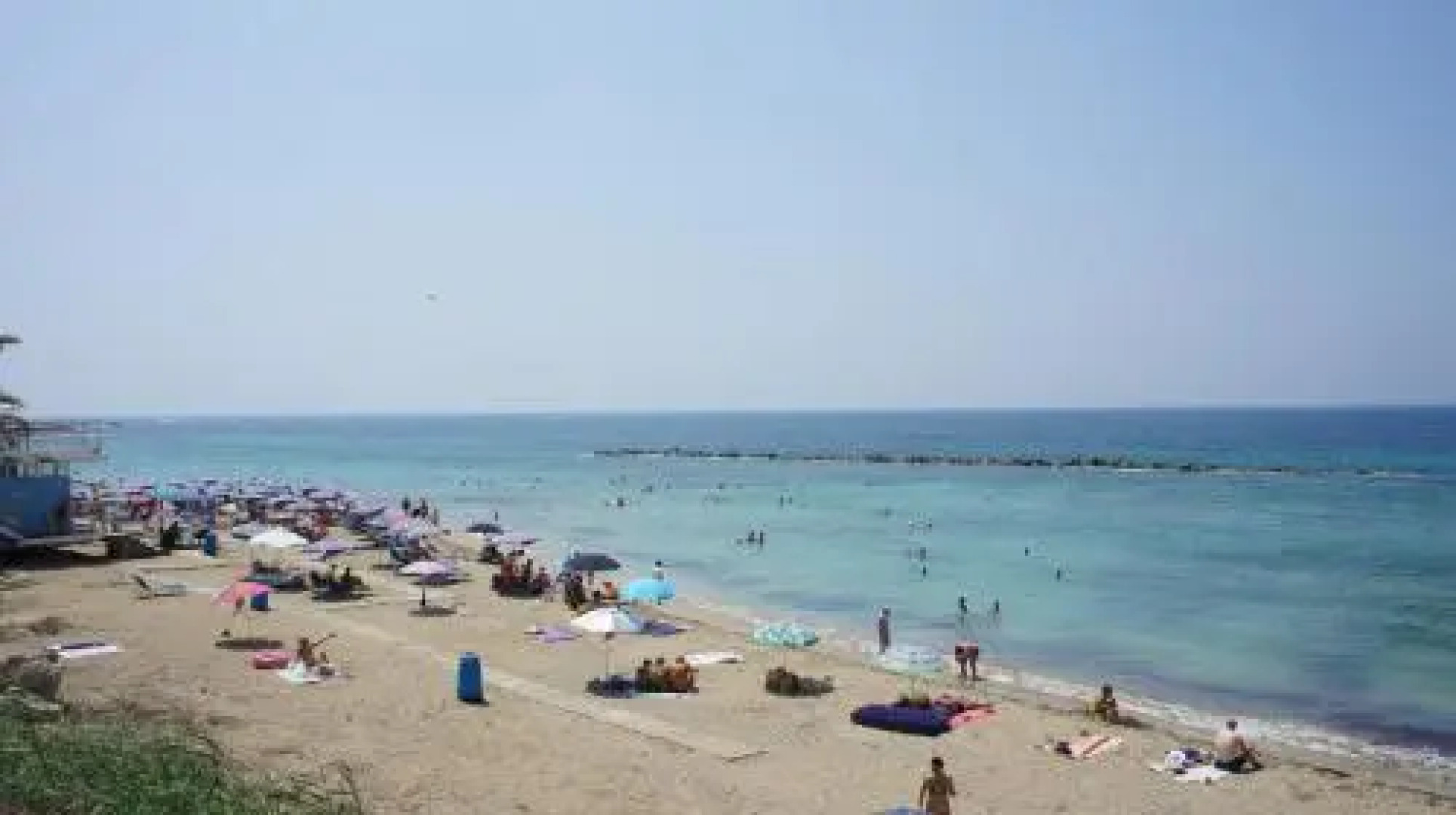 Limnaria Westpark 129