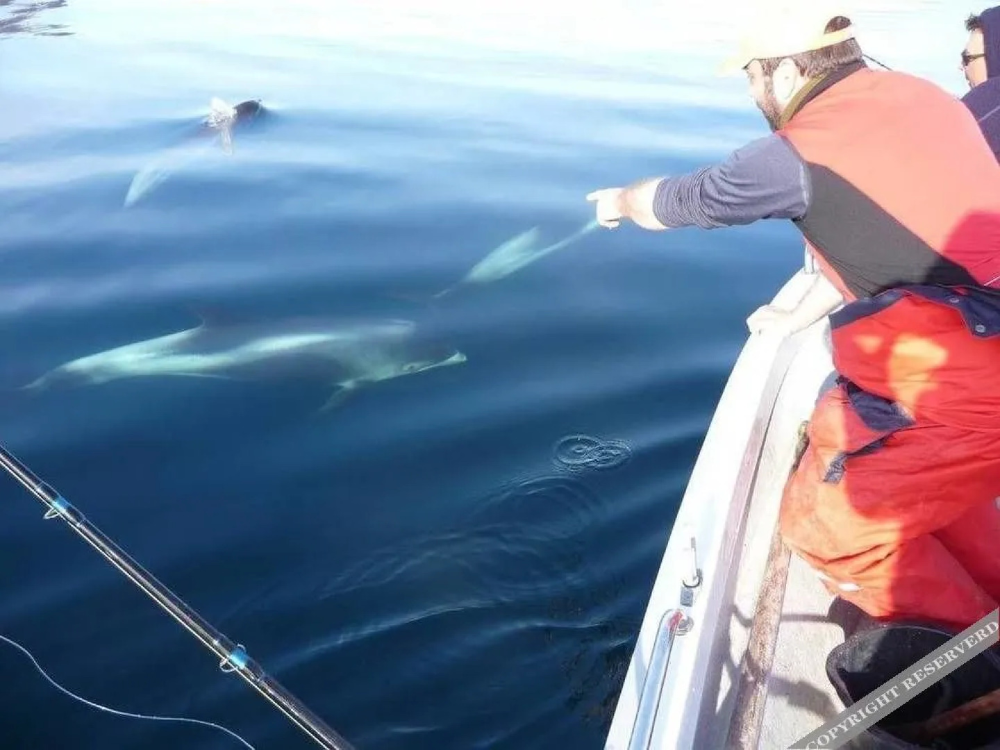 Furoy Hotel Apartments and Boating