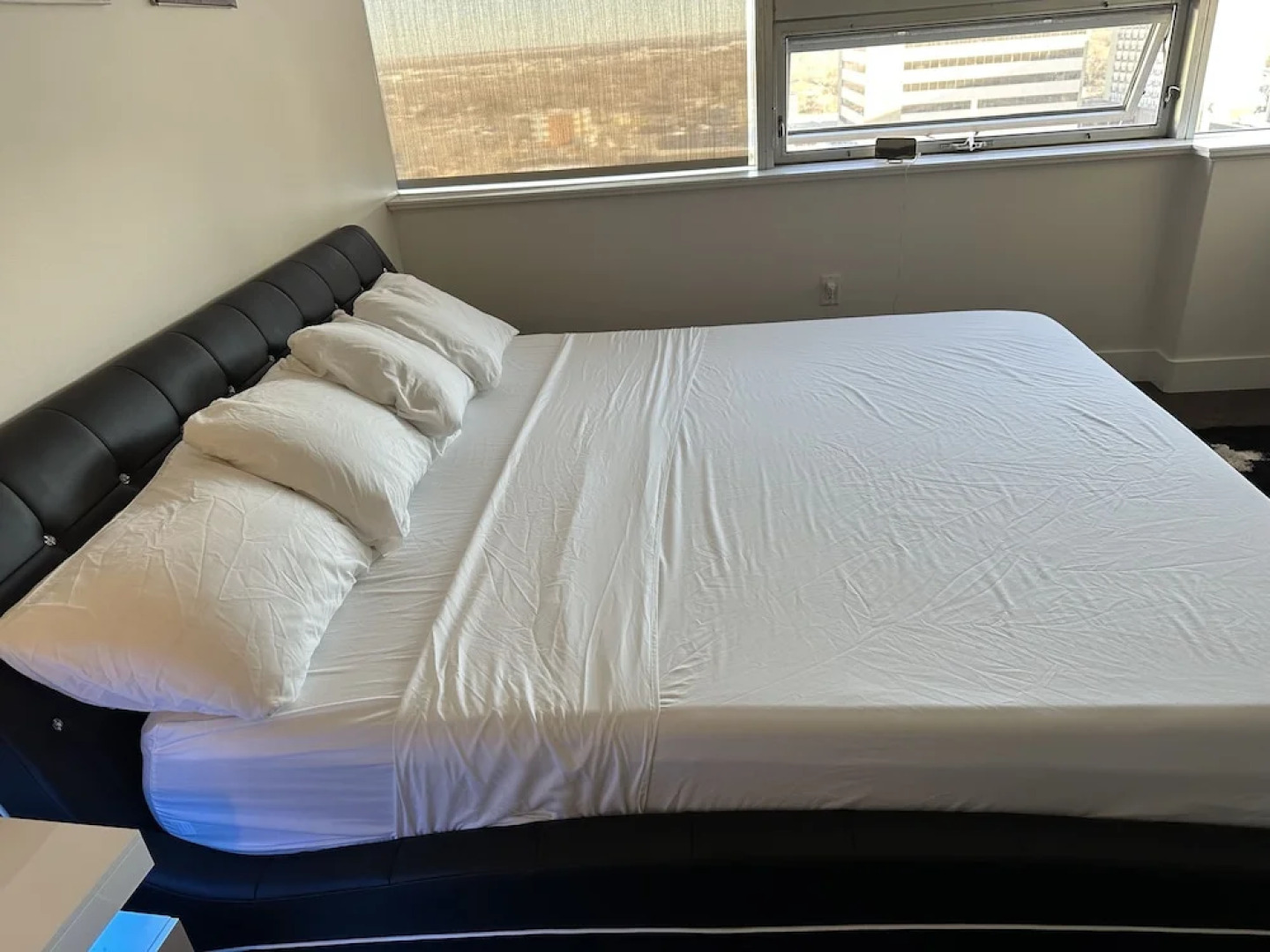 Luxury Downtown Condo Two Bedroom