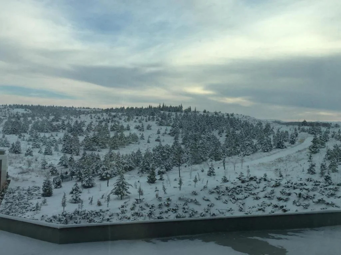 Grand Altuntaş Hotel