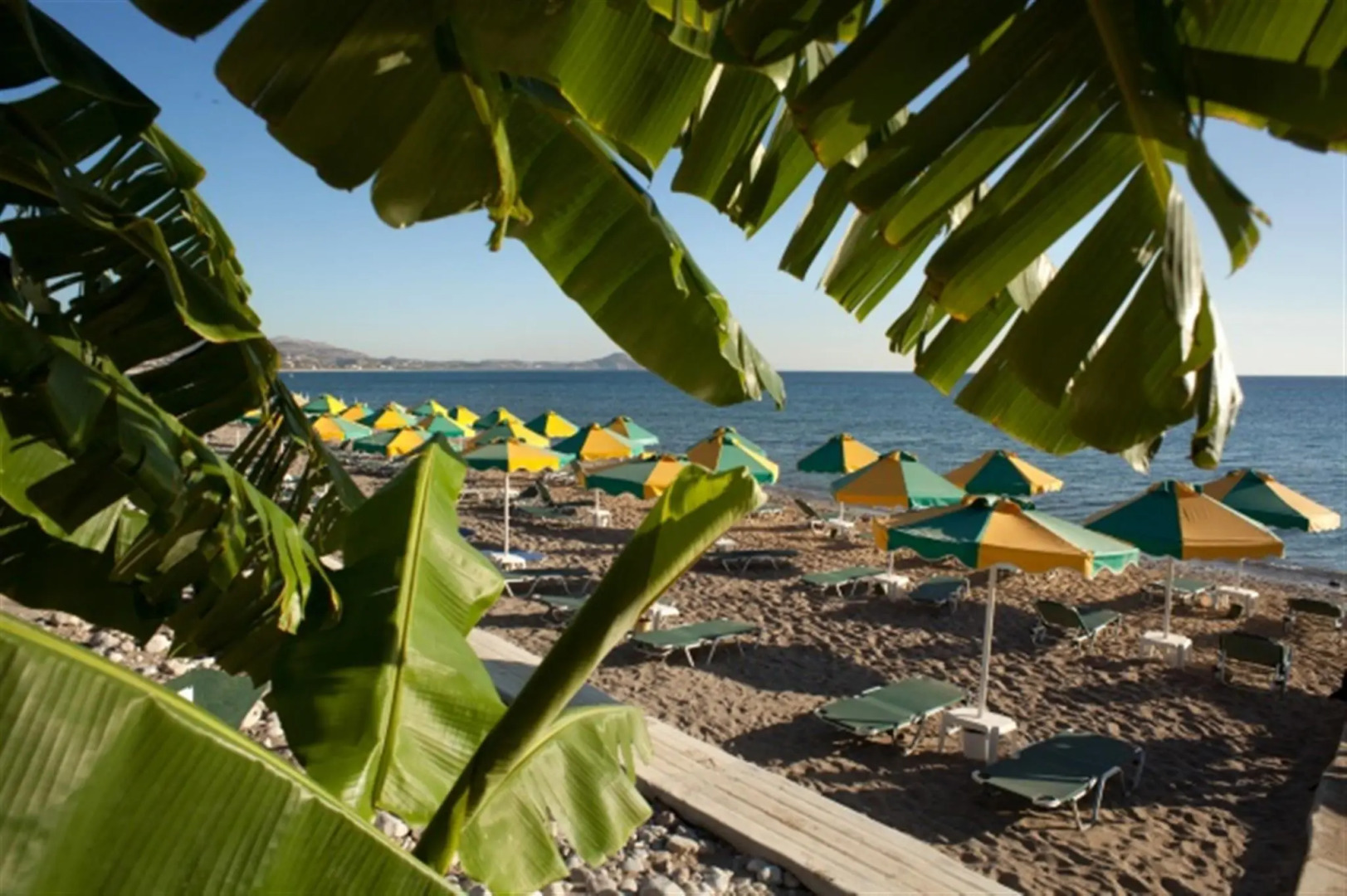 Irene Palace Beach Resort