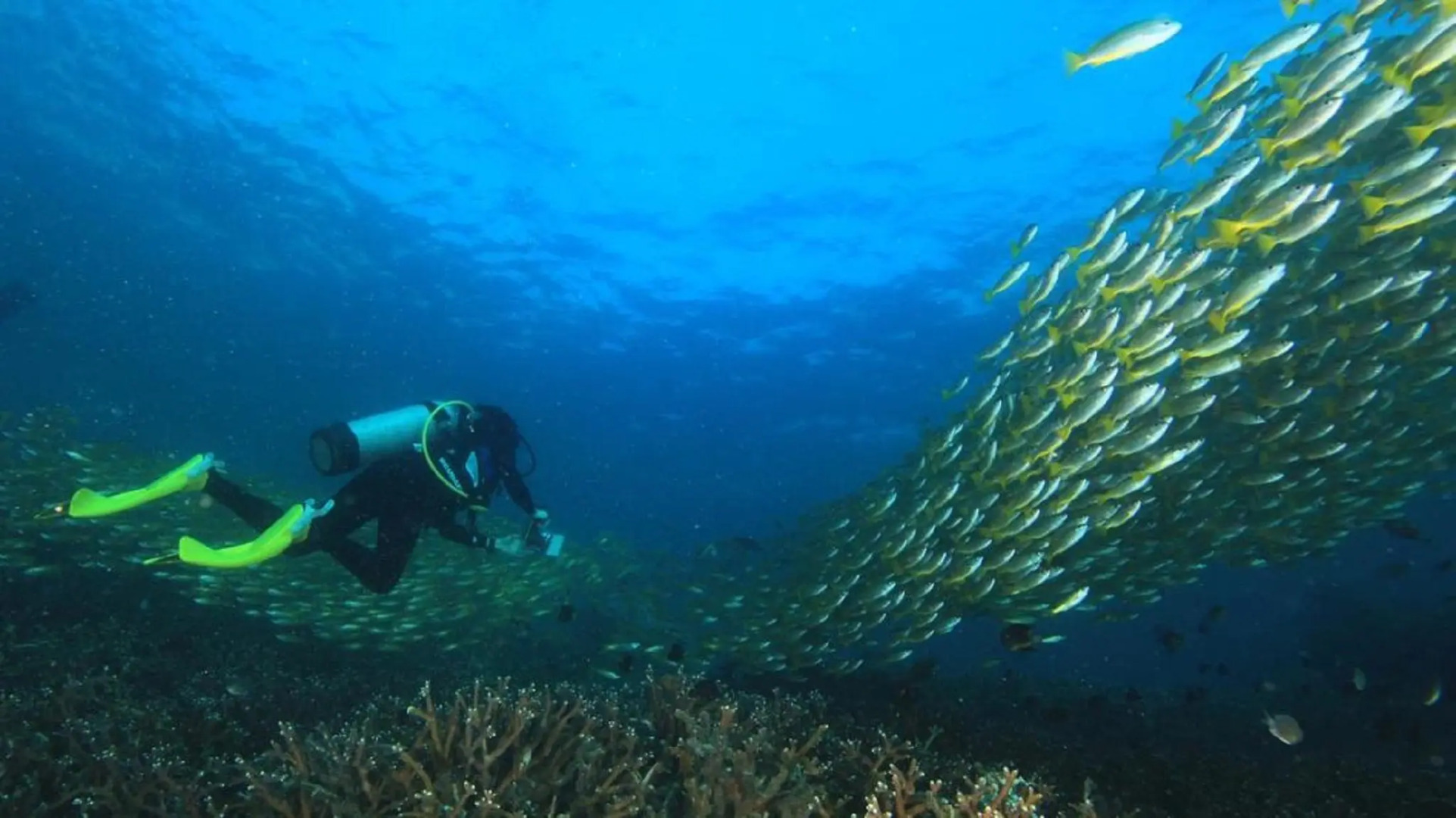 The Taaras Beach & Spa Resort