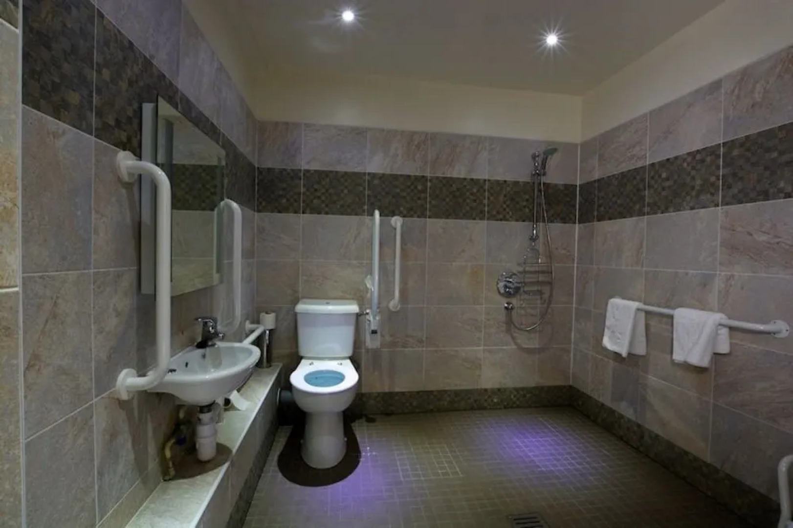 Ye Olde Fighting Cocks