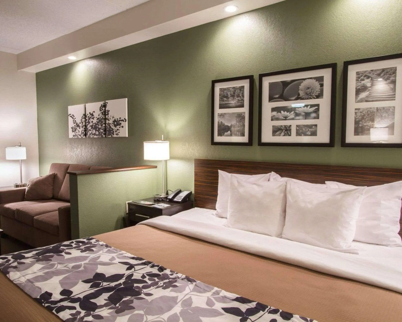 Sleep Inn & Suites Buffalo Airport