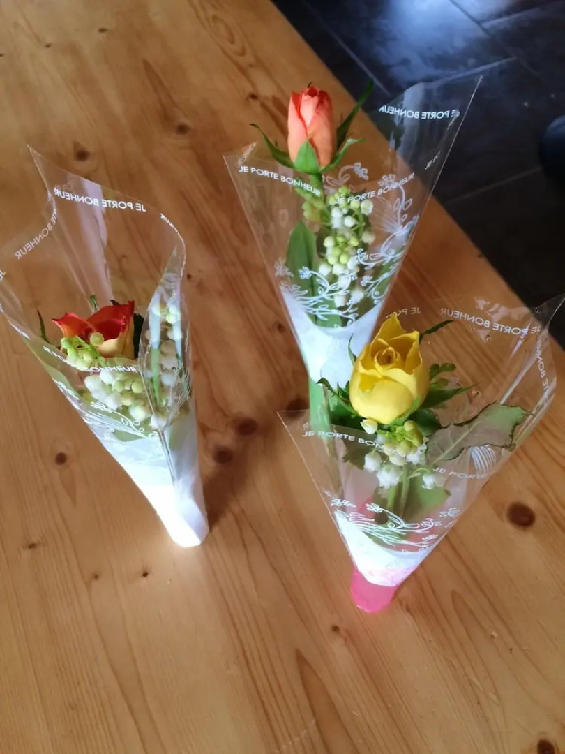 House With 4 Bedrooms in Gap, With Wonderful Mountain View, Furnished