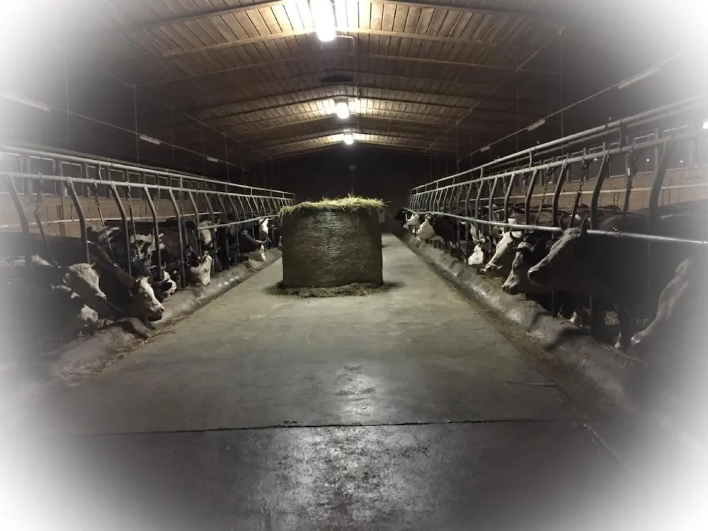 Agriturismo La Grange