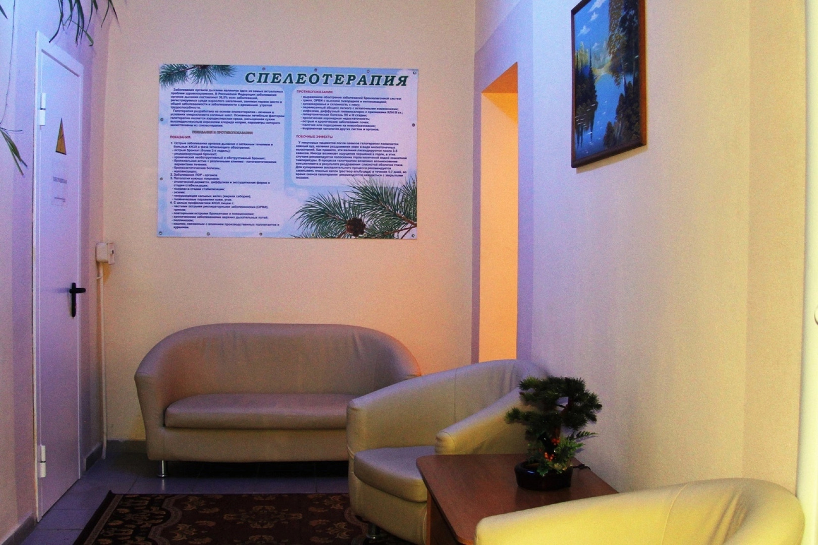 Sosnovyj bor (Jalutorovsk)