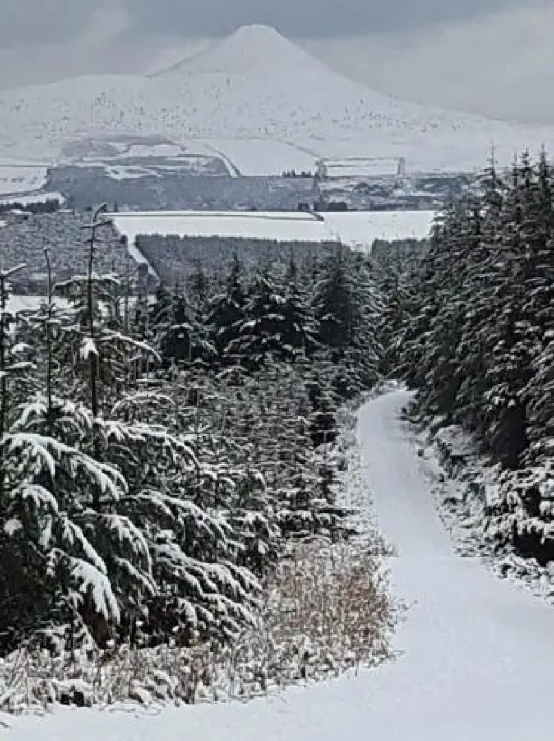 The Enniskerry Inn