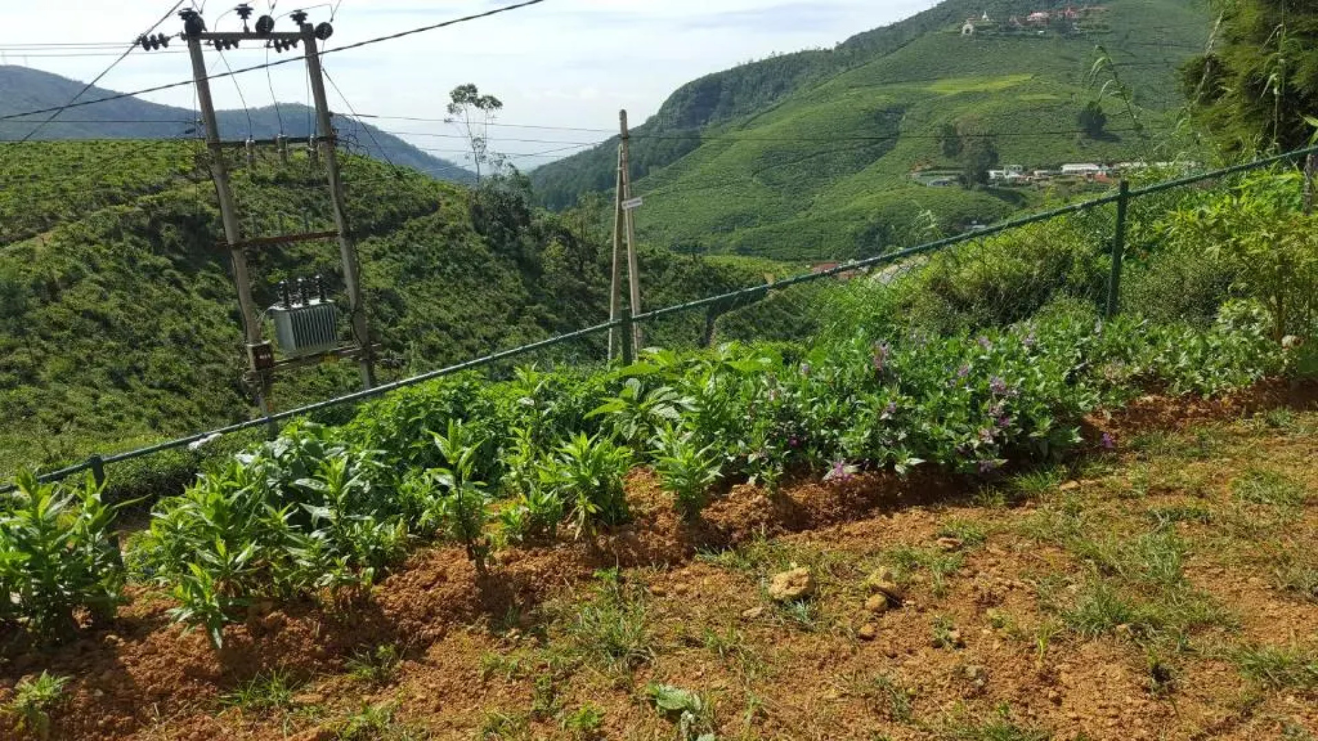 Thuring's Holiday Bungalow