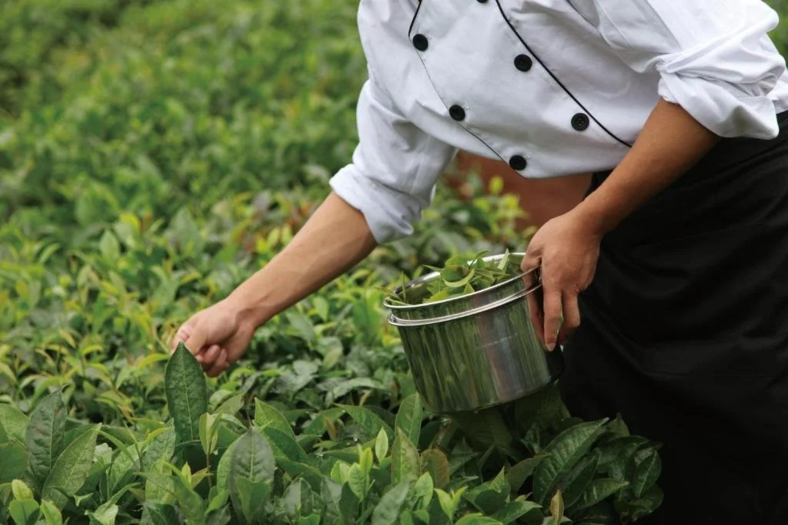 Jingmai Brilliant Resort Spa