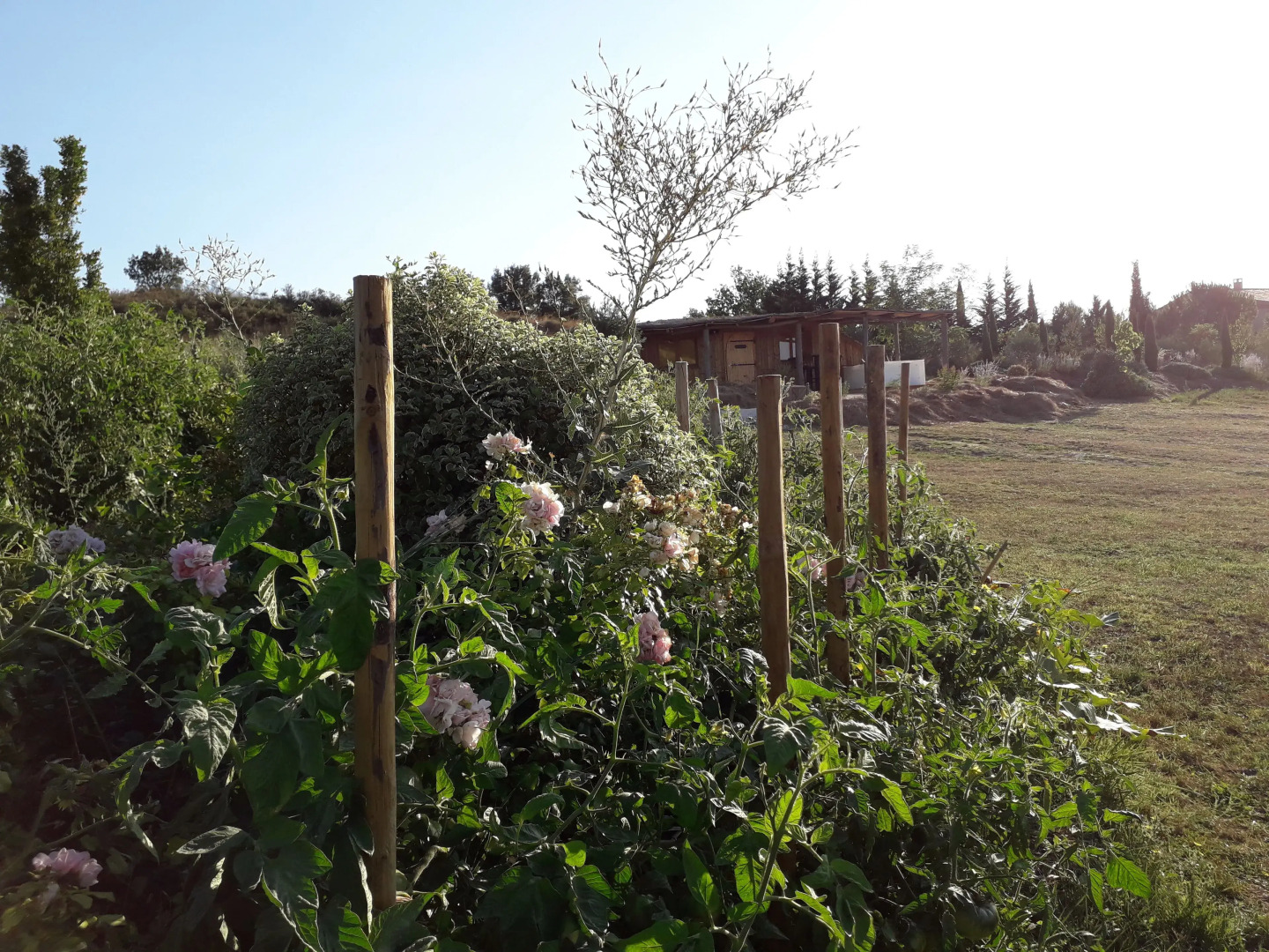 Cabanes Trésors De Campagne