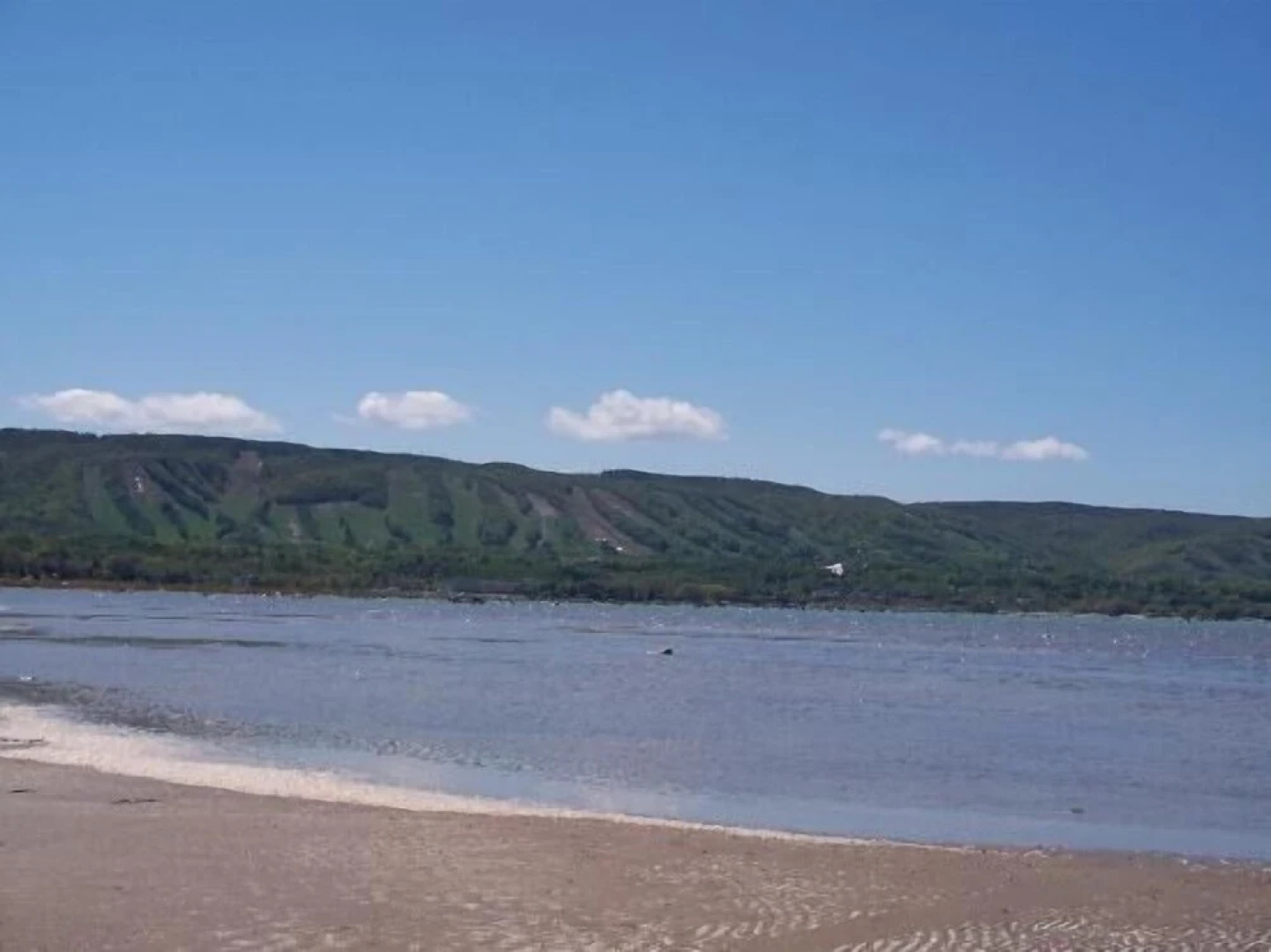 4 Bedroom Blue Mountain Rental with Hot Tub