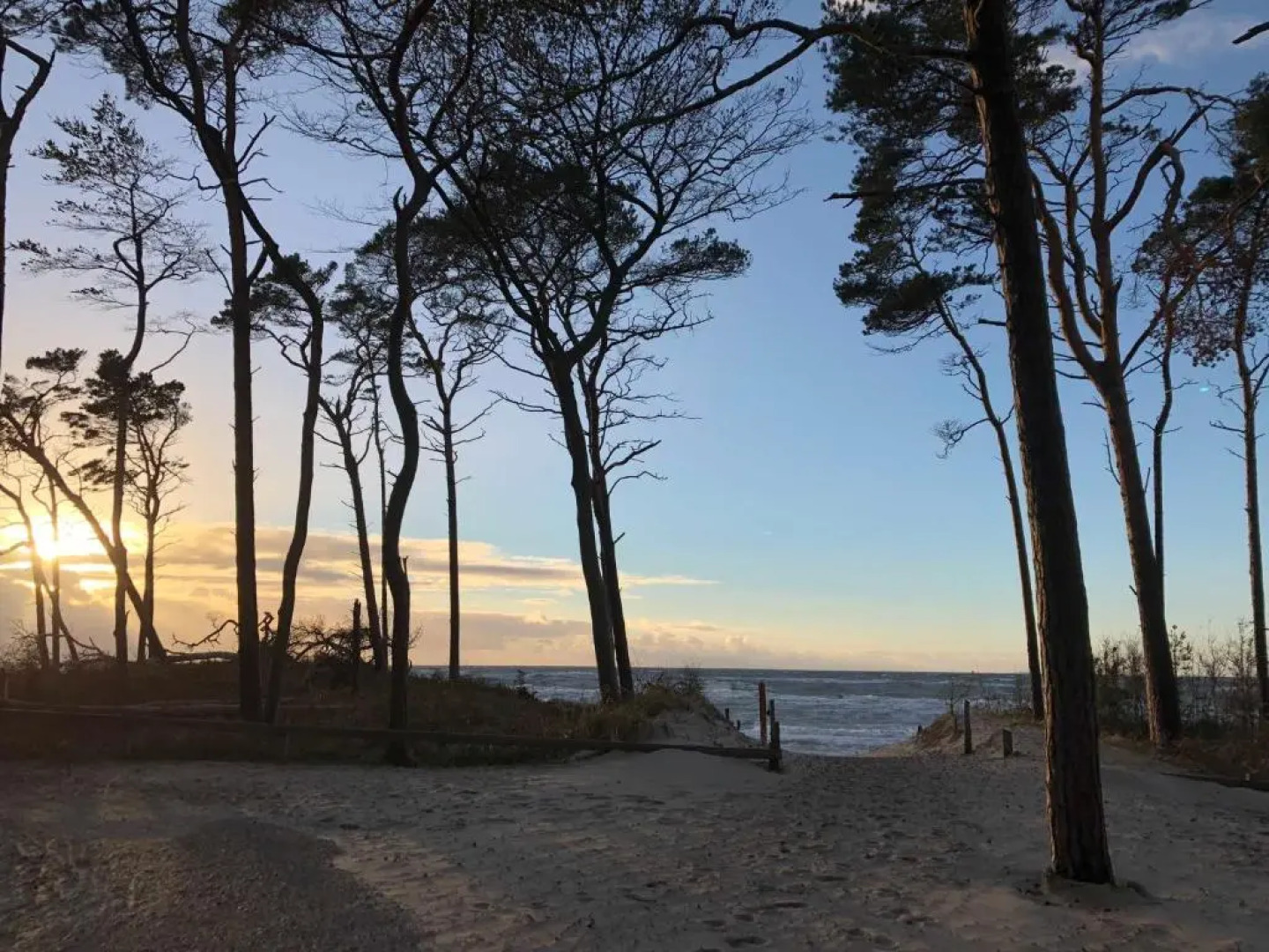 Ferienhaus Sonneneck