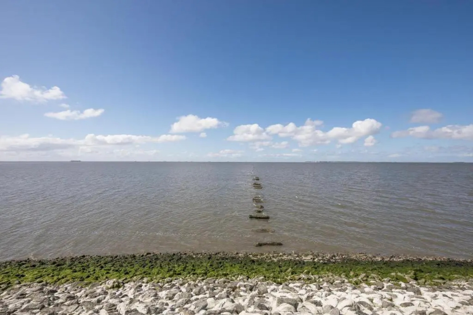 Ferienhaus - Basstölpel