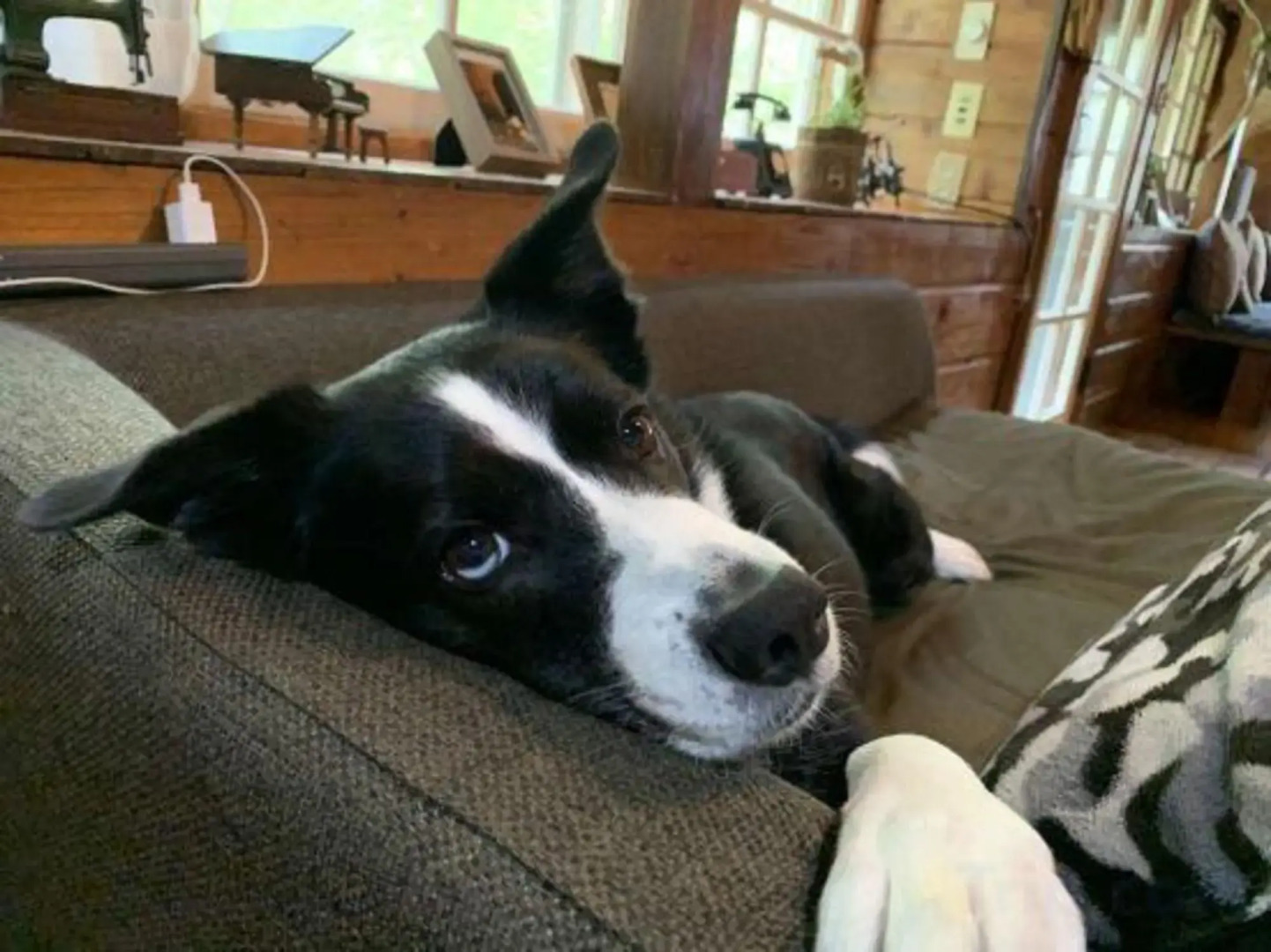 Pension Giovanni Hut