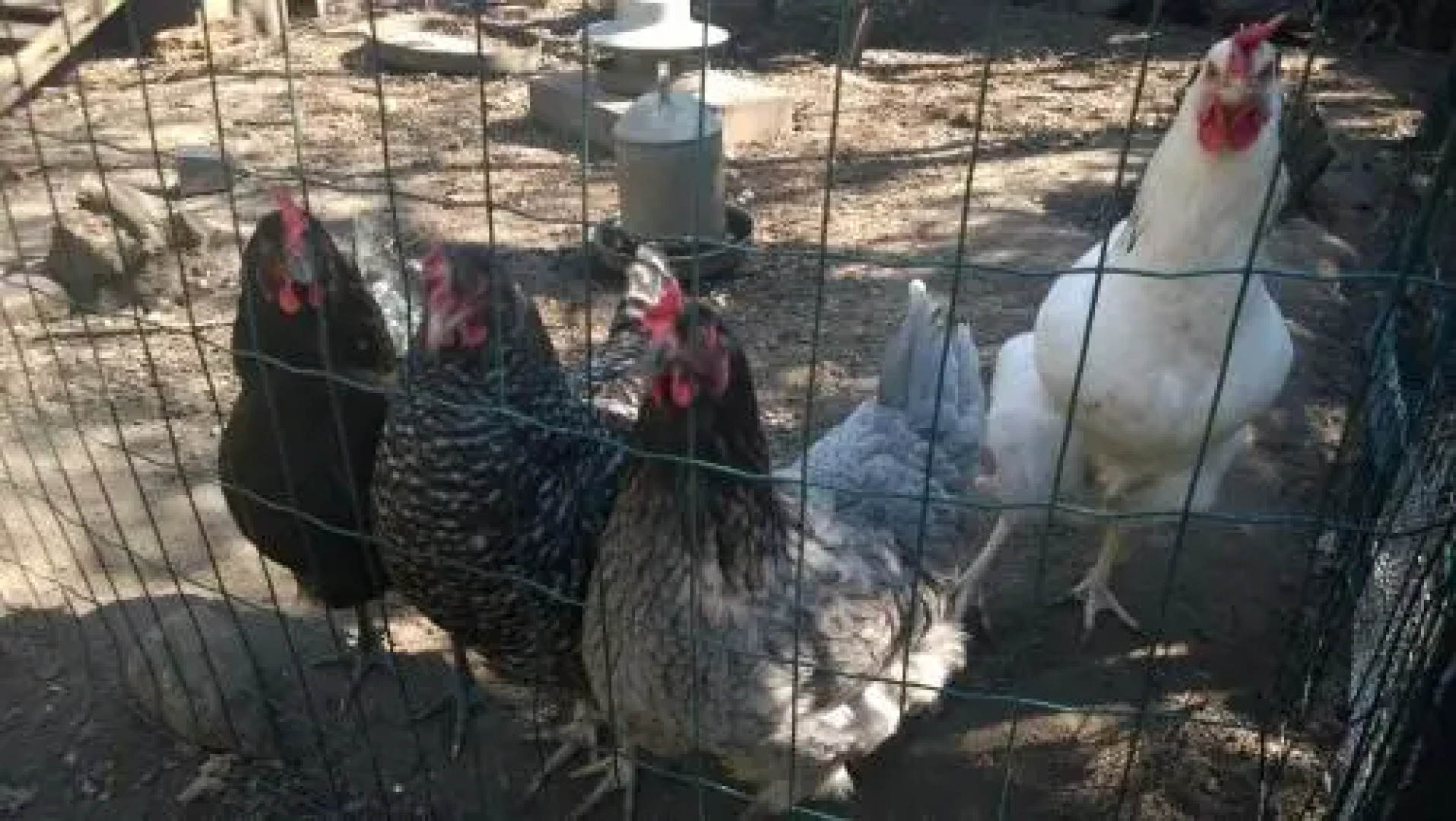 Tyto Alba Bed & Breakfast