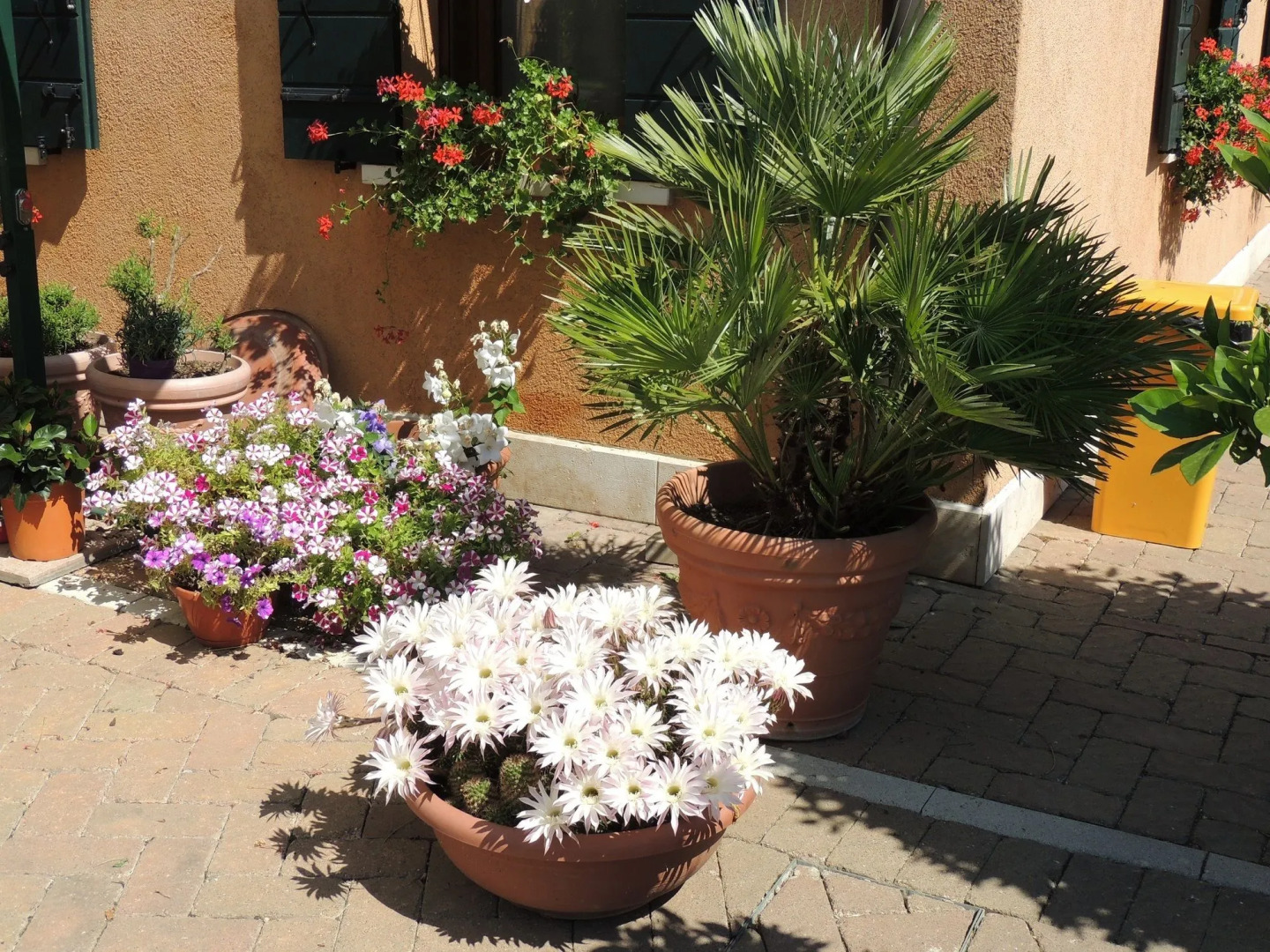 Country House Country Club