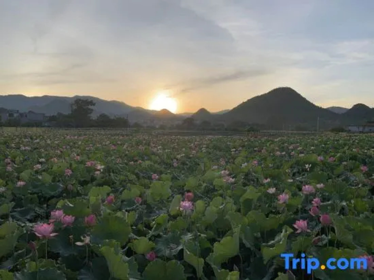 Xingyi Nanshannan Inn