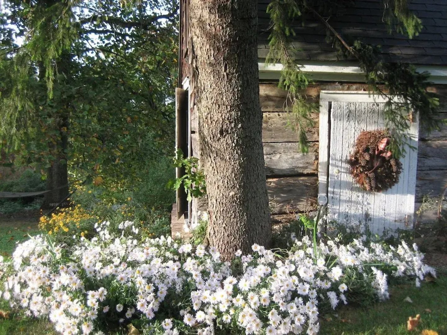 Inn at Mitchell House