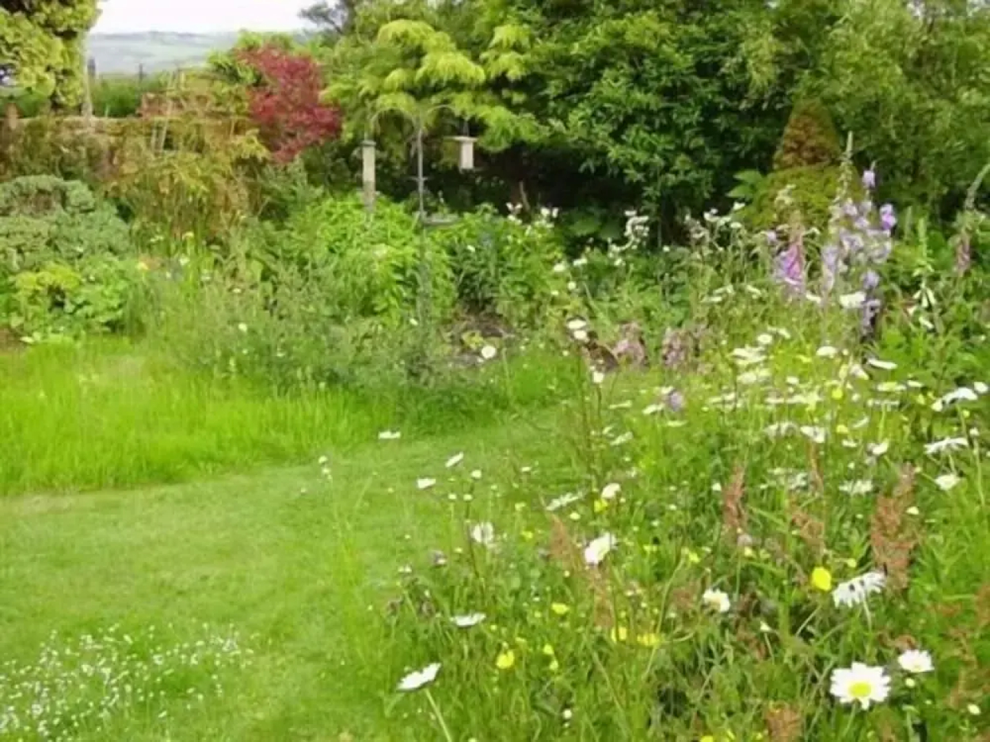 Thorpe Green House Vegetarian Bed and Breakfast