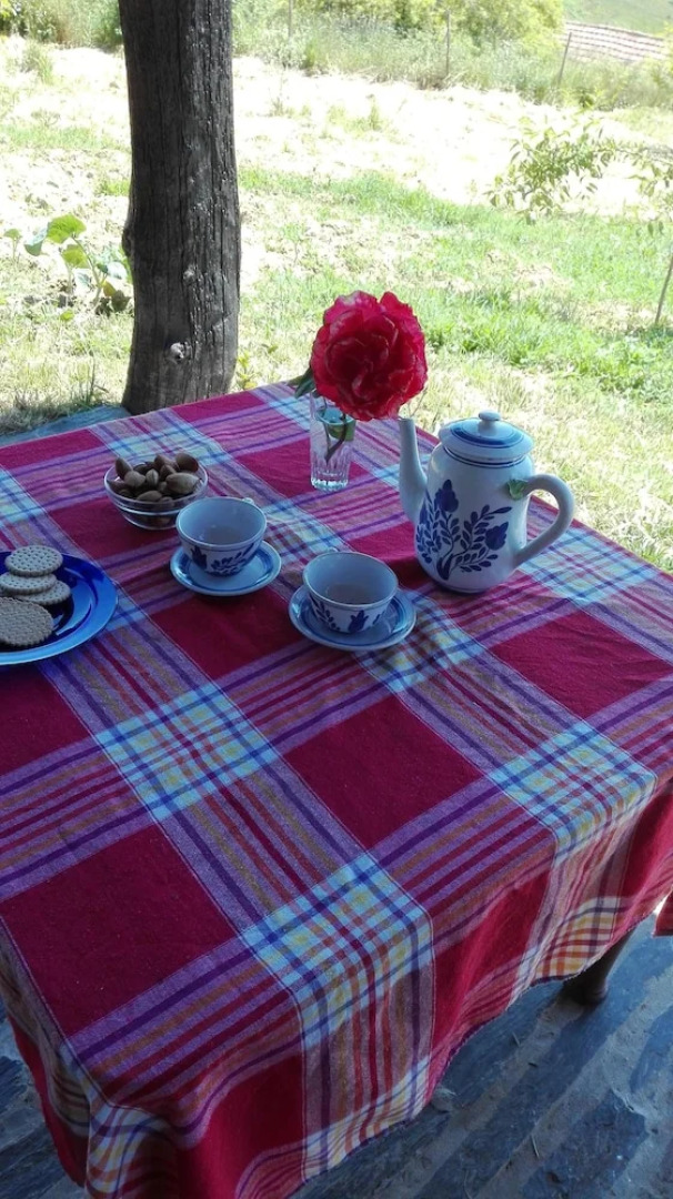 House With 2 Bedrooms in Peso da Régua, With Wonderful Mountain View,