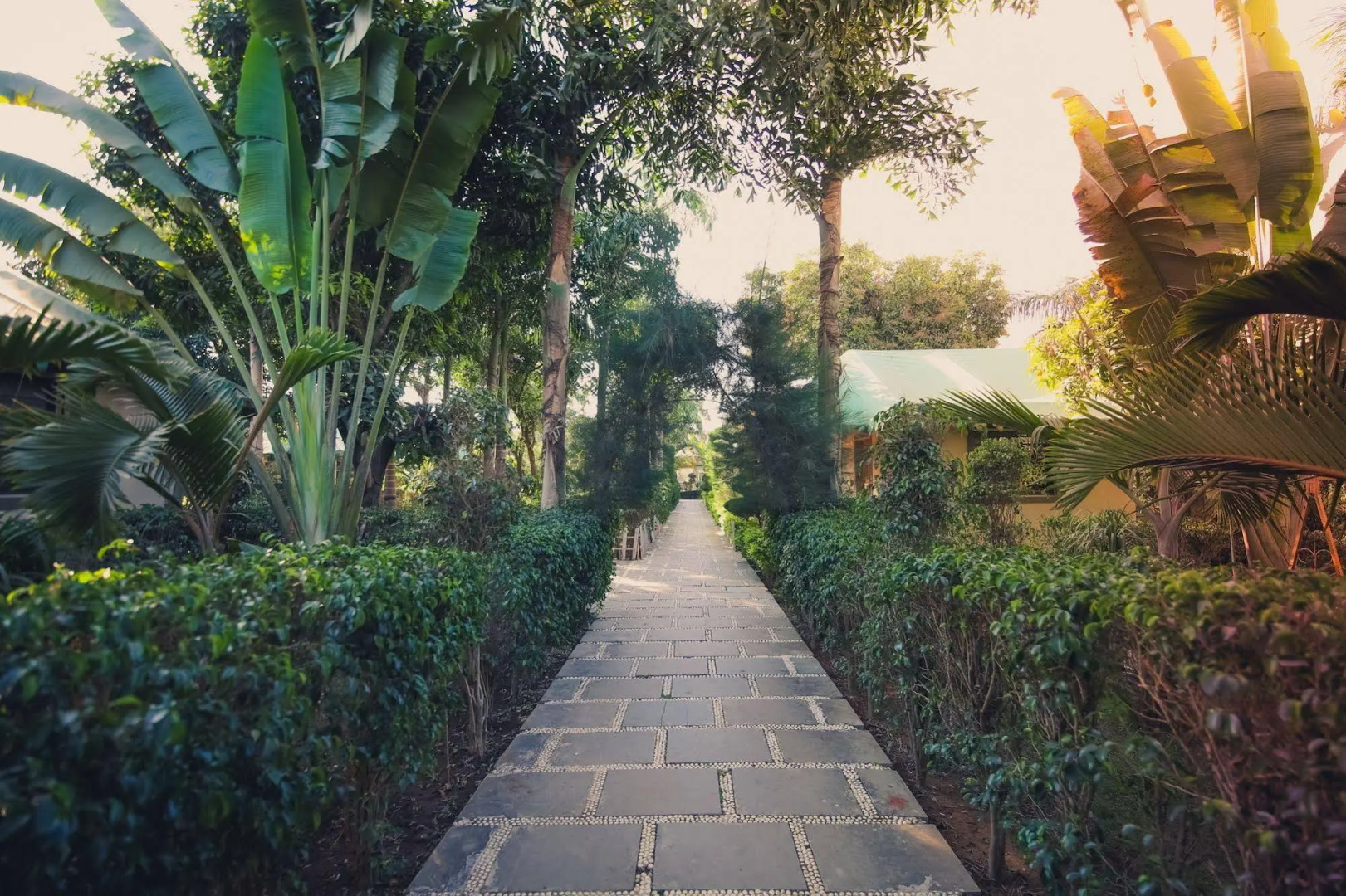 Saavaj Resort - Sasan Gir