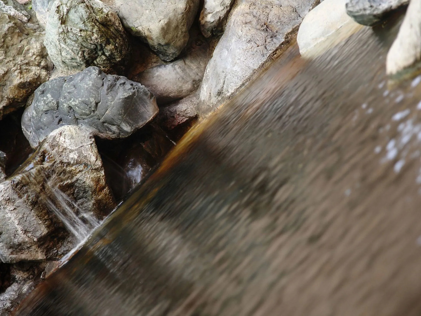 Mori no Spa Resort Hokkaido Hotel