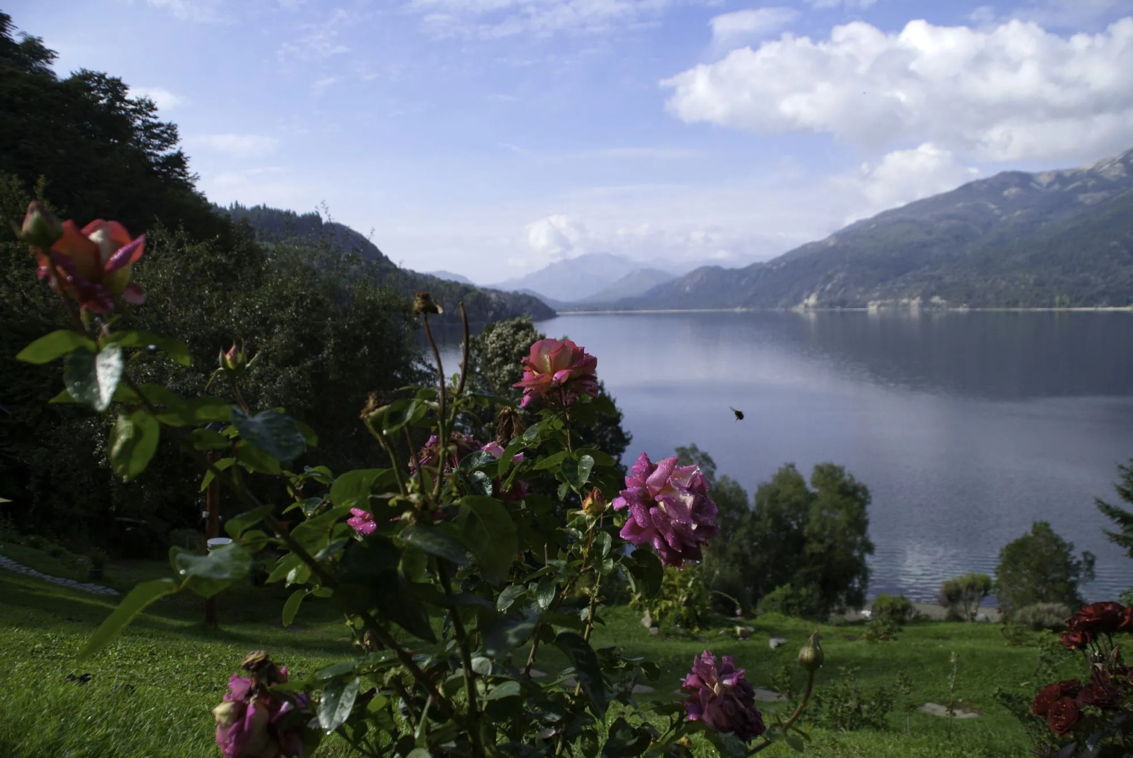 Cabañas Villa Pañil