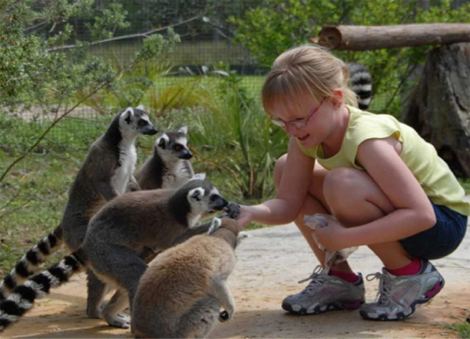 Holiday Inn Express & Suites Lakeland South by IHG