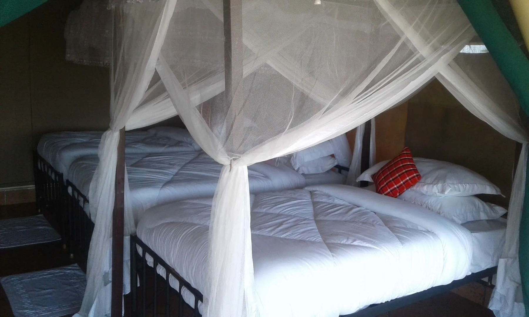 Zebra Kemang'ore Bush Tented Lodge