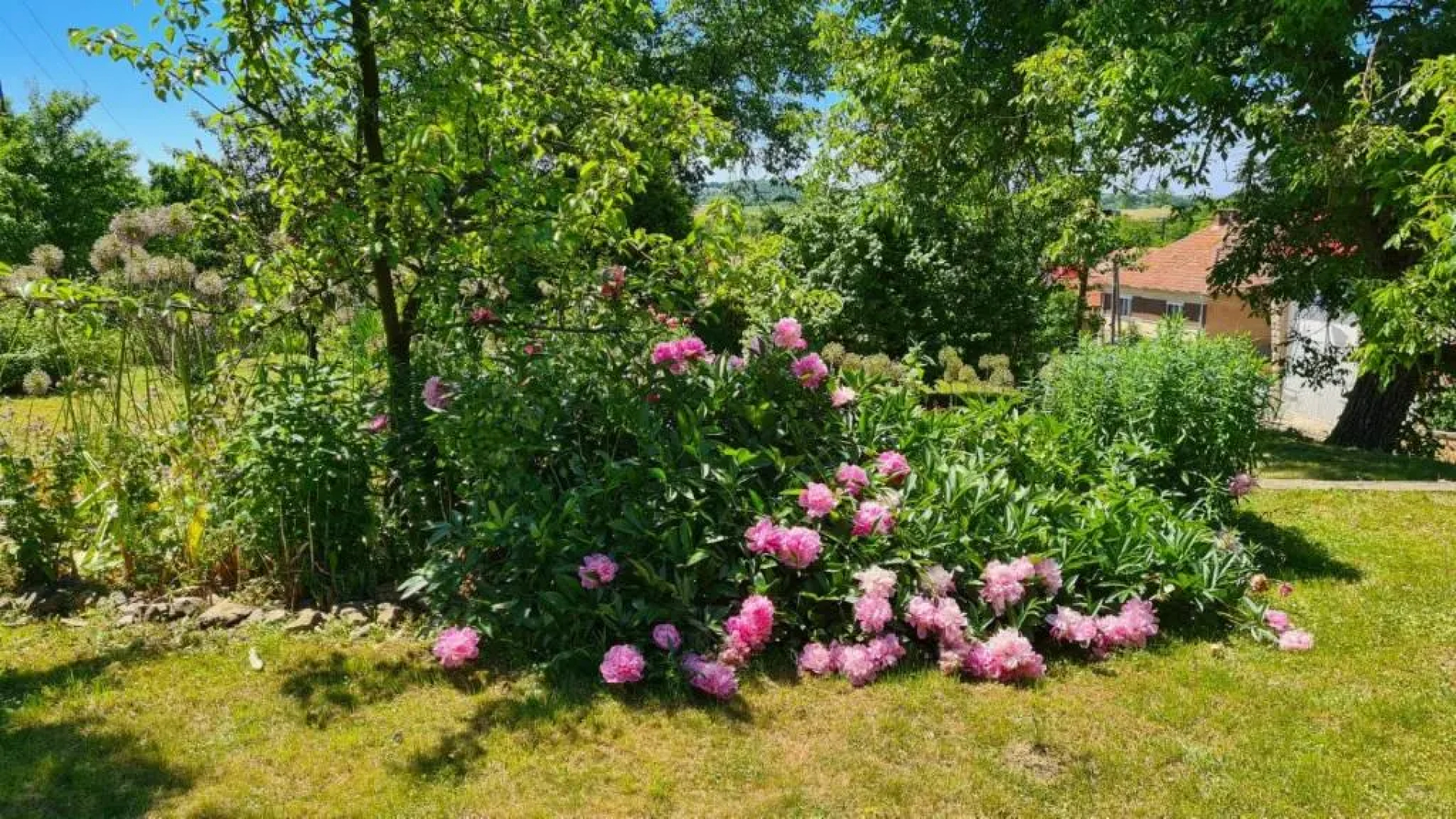 Rózsa Apartman Aggtelek