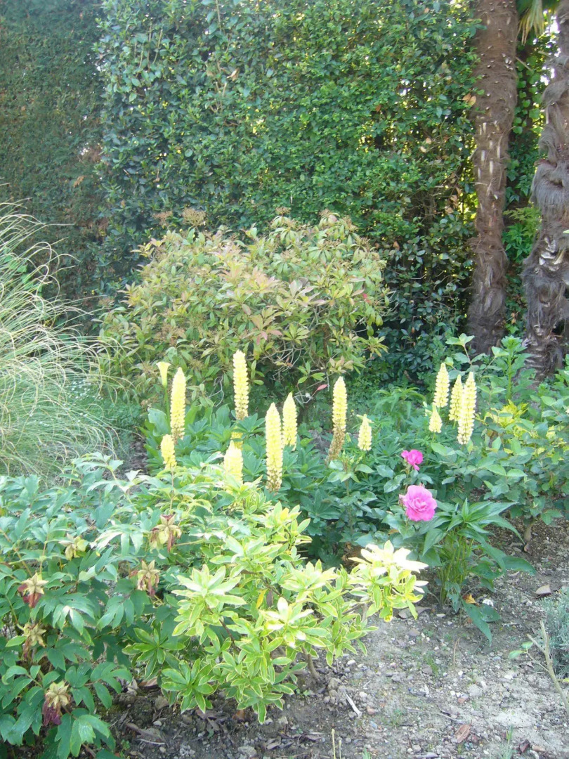 Chambres d'hôtes Le Mas