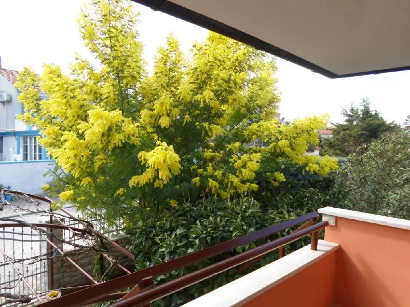 Apartments villa MaVeRo