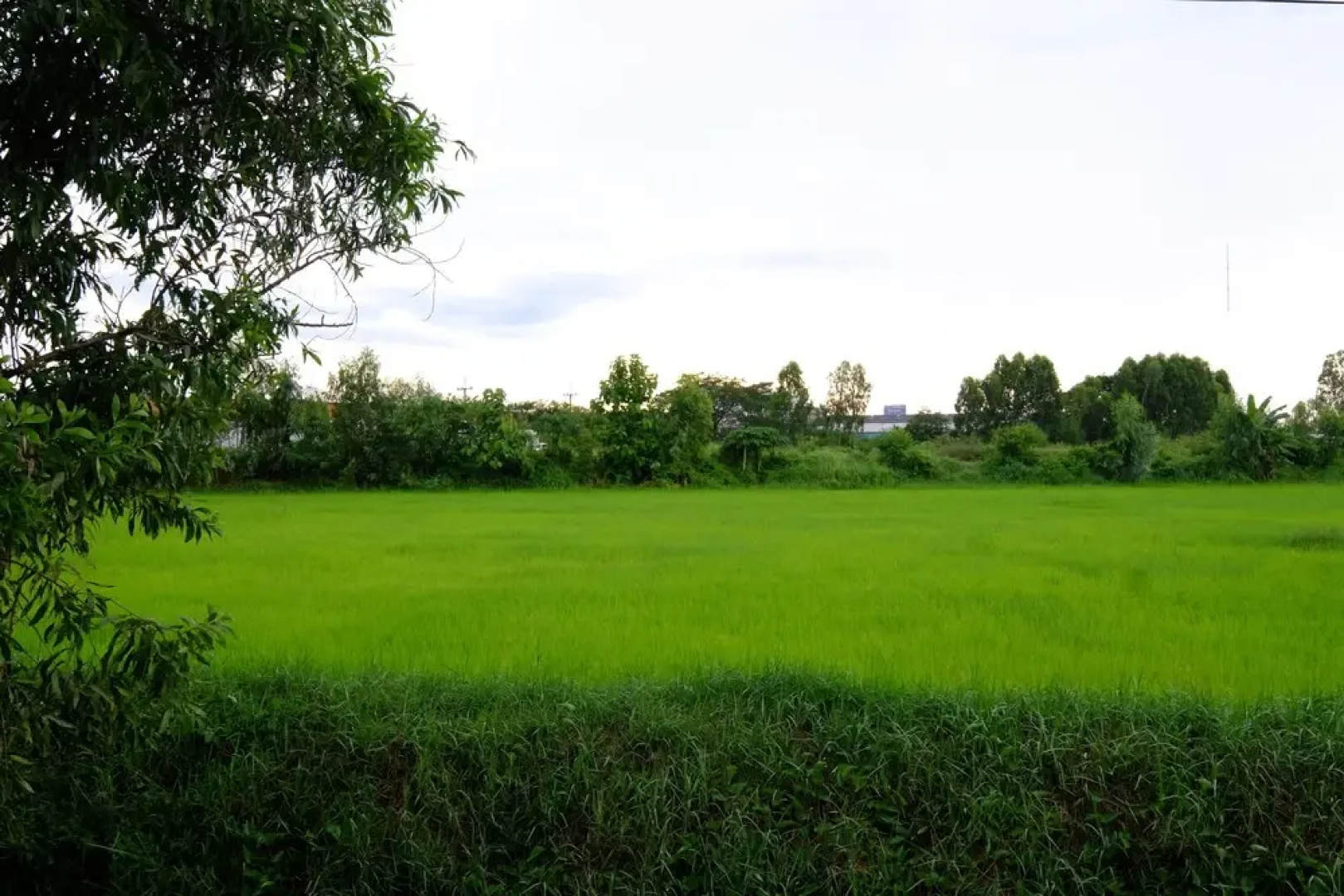 Koko Resort Sakon NKhon