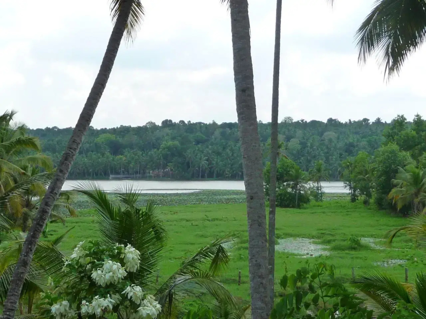 Ganesh Ayurveda Holiday Home Apartment