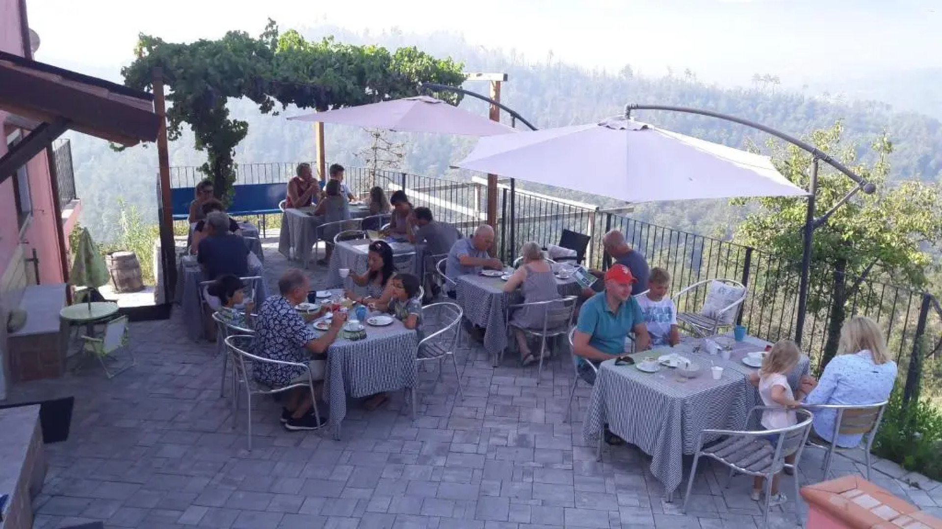 Agritusimo I Gelsi E I Castagni