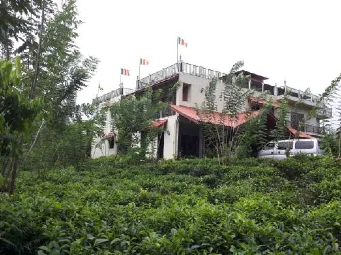 Manikgoda Tea Paradise