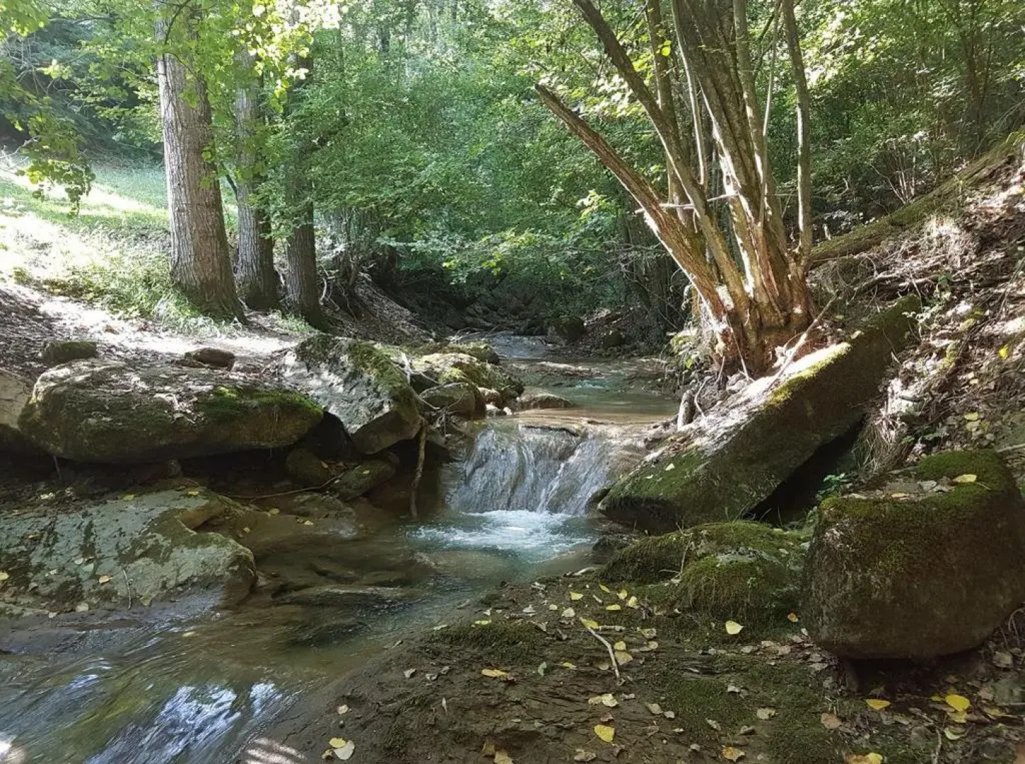 Apartamento Ca L'Anton