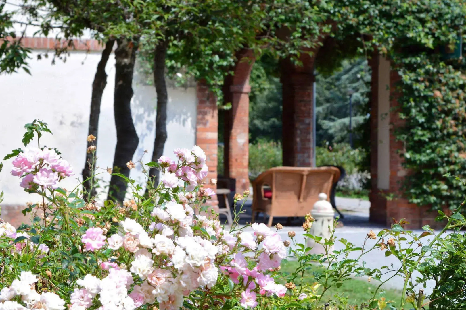 Agriturismo Ponte di Rialto