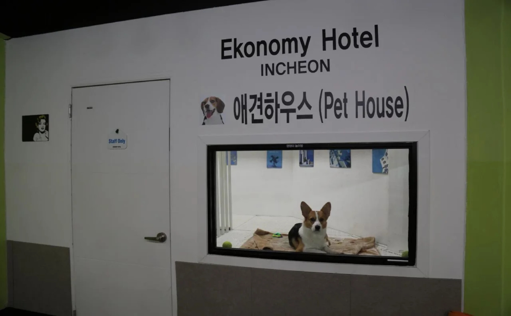 Ekonomy Hotel Incheon