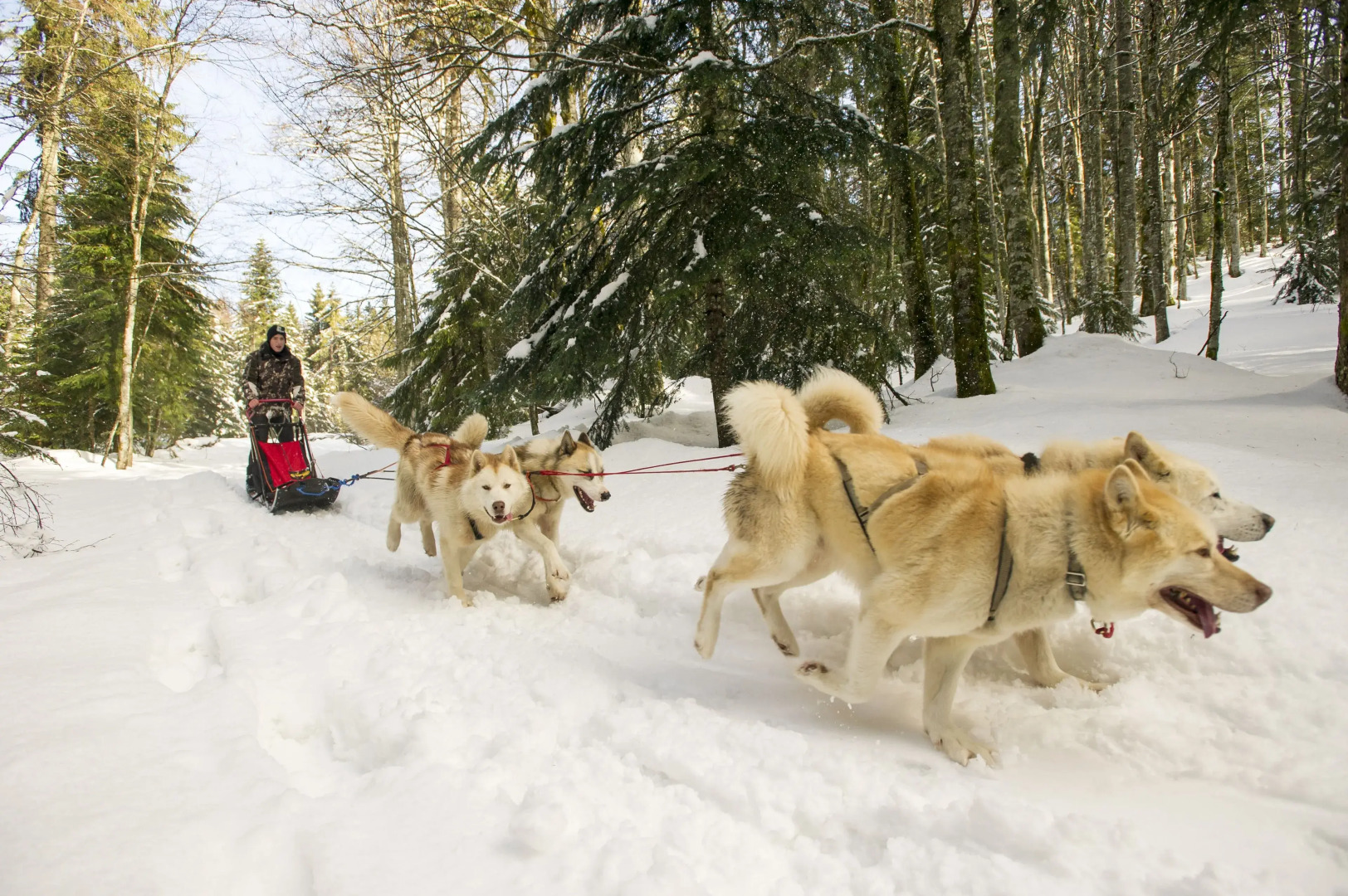 VVF Villages Les Monts Du Jura Lélex