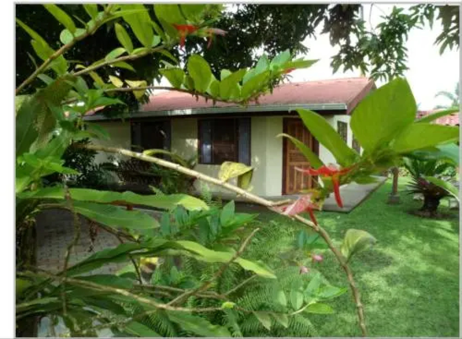 Taylor's Place Tortuguero Costa Rica