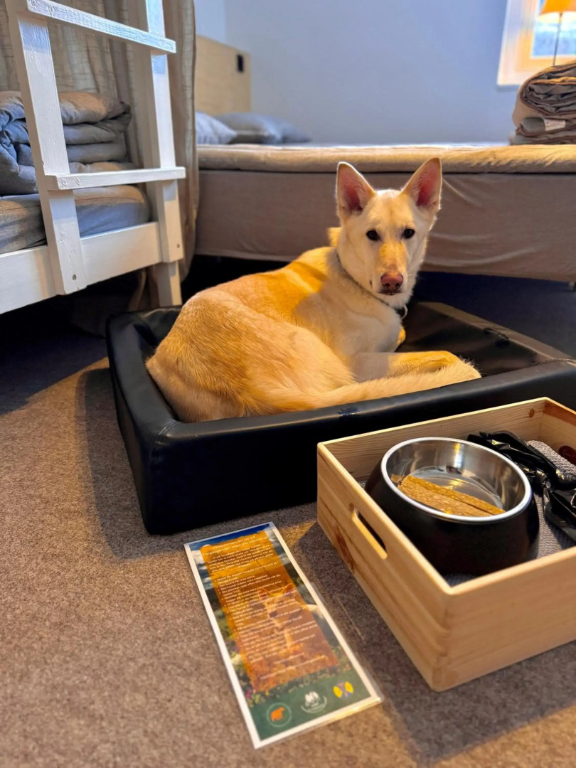 STF Sälen Torgåsgården