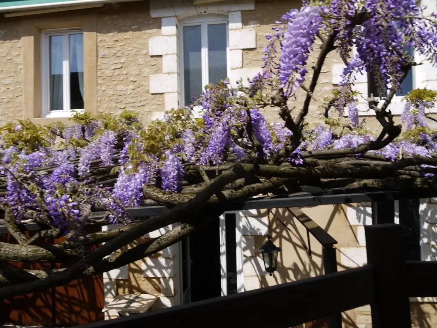 Le Trèfle À Quatre Feuilles