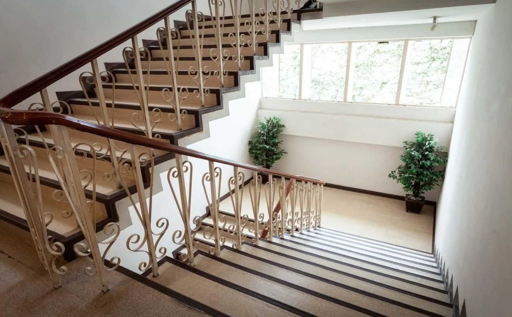 The Sunrise Residence