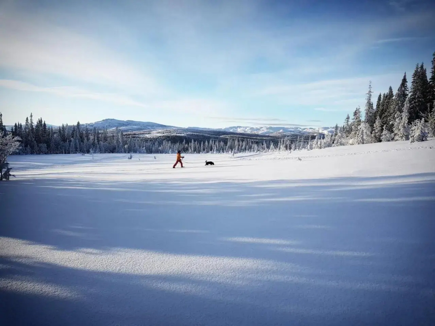 Edsåsdalen Fjällstation & Fjällby